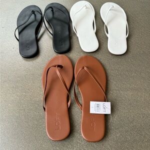 Loft Flip Flops Bundle